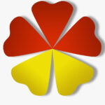 Shokam Consulting Limited