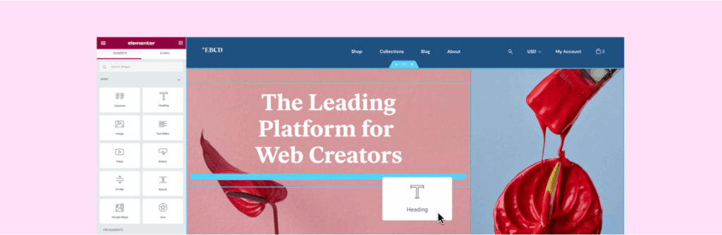 Elementor WordPress