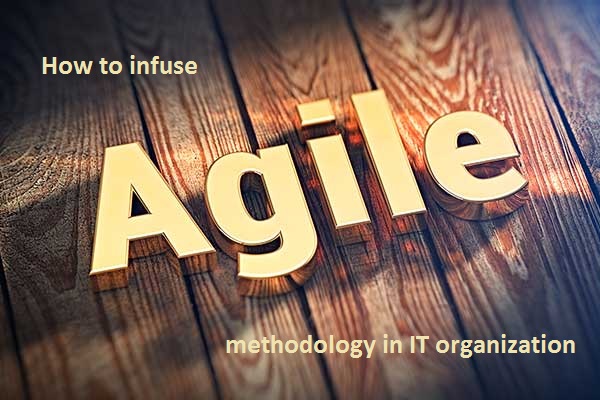 How to infuse Agile methodology in IT organization