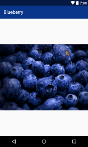 blueberry-app