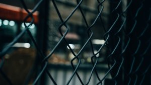 web security best programming practices