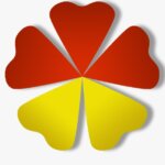 Shokam Consulting Limited