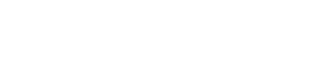 AI Development Company