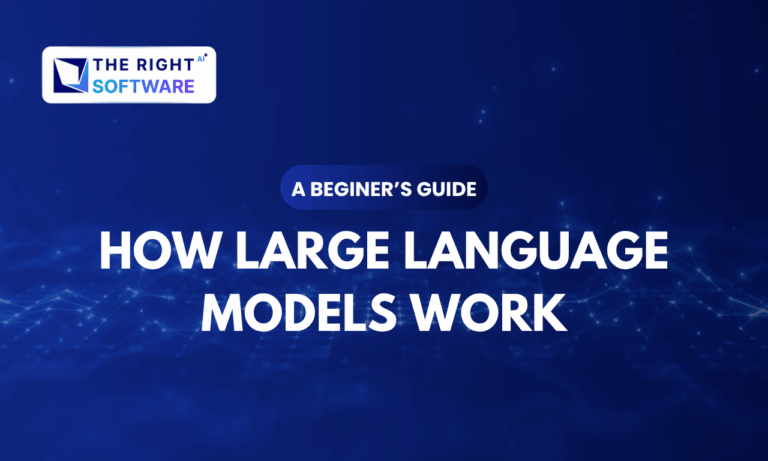 Large Language Models (LLMs) Work